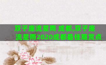双子座流星雨 成都,双子座流星雨2020成都最佳观赏点